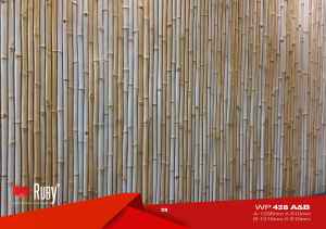 PG_28_428-AB