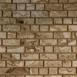 BI-Reverse-Mocha-fsi